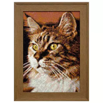 Ag 159 Набор д/изготовления картин со стразами 'Домашний кот' 20*30(19*27)см Гранни