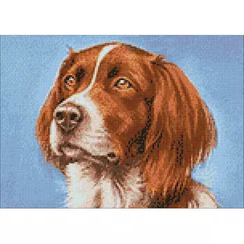 Ag 269 Набор д/изготовления картин со стразами 'Сеттер' 38*27см Гранни