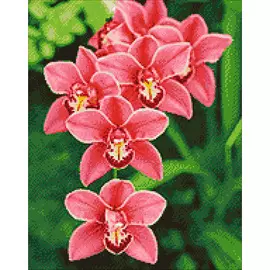 Ag 380 Набор д/изготовления картин со стразами 'Цимбидиум' 38*48см Гранни