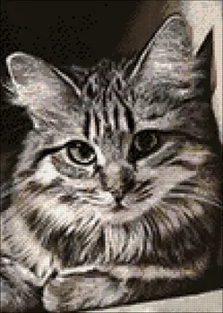 Ag 4674 Набор д/изготовления картин со стразами 'Барсик' 27*38 см Гранни