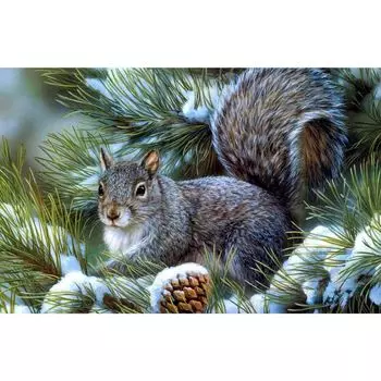 Ag 473 Набор д/изготовления картин со стразами 'Бельчонок' 38*27см Гранни