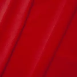 AR1001 Бархат на трикотажной основе 59*50см (145 красный неон)
