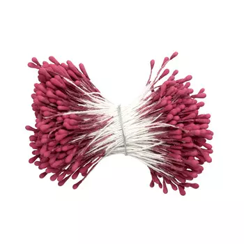 AR559-1 Тычинки для искусственных цветов 0,3*6см Астра, 2шт/упак (пурпурный)