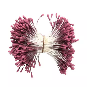 AR559-1 Тычинки для искусственных цветов 0,3*6см Астра, 2шт/упак (бордовый)