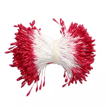 AR560-1 Тычинки для искусственных цветов 0,1*6см Астра, 2шт/упак (красный)