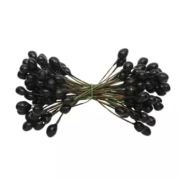 AR561-1 Тычинки для искусственных цветов 0,5*6см Астра, 2шт/упак (черный)