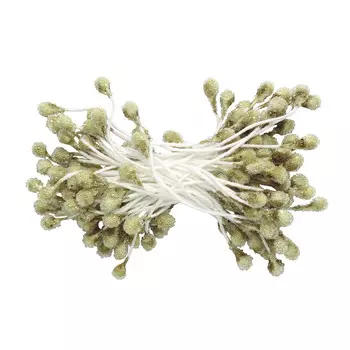 AR562-1 Тычинки для искусственных цветов 0,3*6см Астра, 2шт/упак (бежевый)