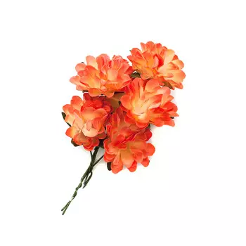 Астры из бумаги, упак./8 шт., SCB (280303 коралловые)