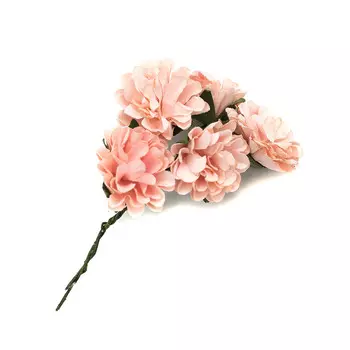 Астры из бумаги, упак./8 шт., SCB (280307 розовые)