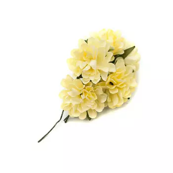 Астры из бумаги, упак./8 шт., SCB (280302 кремовые)