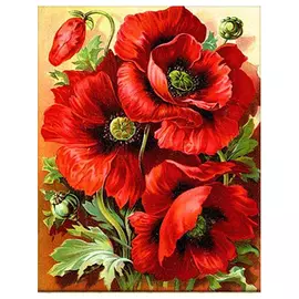 АЖ-1135 Картина стразами 'Яркие маки' 30*37см