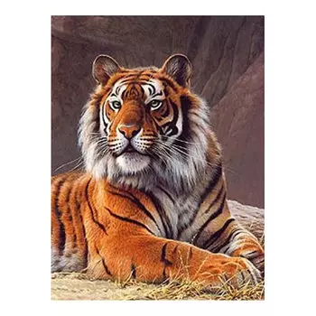 АЖ-1384 Картина стразами 'Охотник на страже' 30*40см