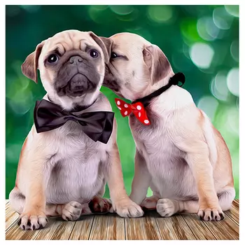 АЖ-1460 Картина стразами 'Мопсы' 40*40 см