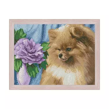 АЖ-1461 Картина стразами 'Шпиц' 40*30 см