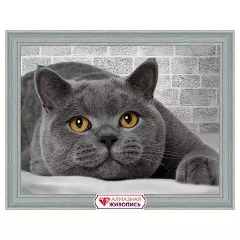 АЖ-1463 Картина стразами 'Британский кот' 40*30 см