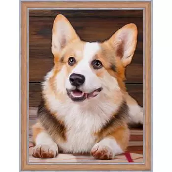 АЖ-1466 Картина стразами 'Корги' 30*40 см