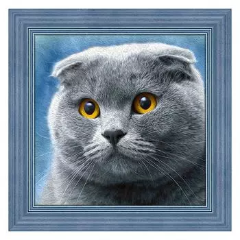 АЖ-1619 Картина стразами 'Шотландец' 25*25см