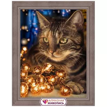 АЖ-1694 Картина стразами 'Пушистый проказник' 30*40 см