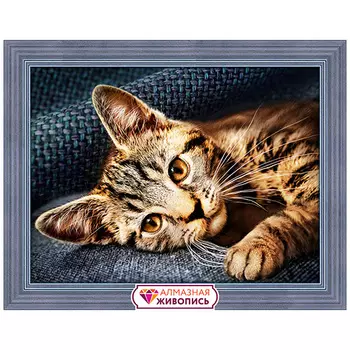 АЖ-1700 Картина стразами 'Барсик' 40*30см