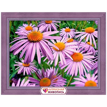 АЖ-1702 Картина стразами 'Сиреневые ромашки' 40*30см