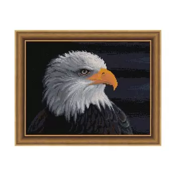 АЖ-1714 Картина стразами 'Белоголовый орлан' 40*30см