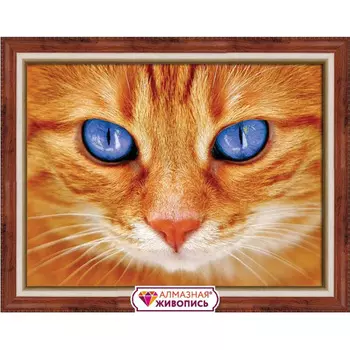 АЖ-1716 Картина стразами 'Синеглазый кот' 40*30см
