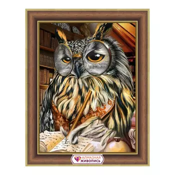 АЖ-1737 Картина стразами 'Ученый филин' 30*40см