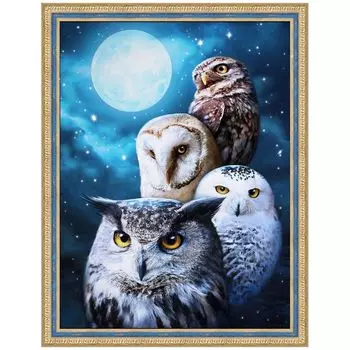 АЖ-1738 Картина стразами 'Ночные совы' 30*40см