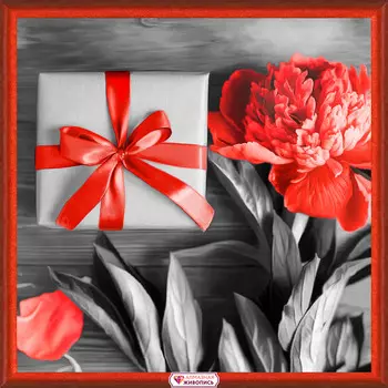 АЖ-1774 Картина стразами 'Подарок с пионом' 25*25см