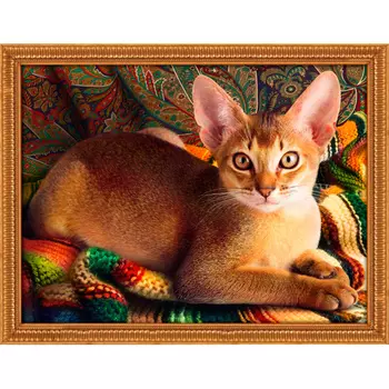 АЖ-1778 Картина стразами 'Абиссинский кот' 40*30см