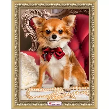 АЖ-1779 Картина стразами 'Чихуахуа с бантиком' 30*40см