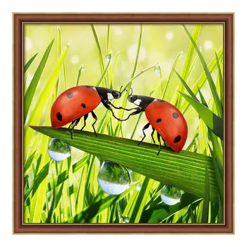 АЖ-1787 Картина стразами 'Пара божьих коровок' 25*25см