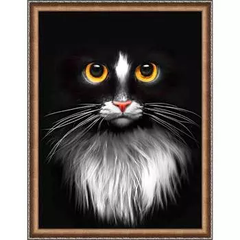 АЖ-1899 Картина стразами 'Черный кот' 30*40см