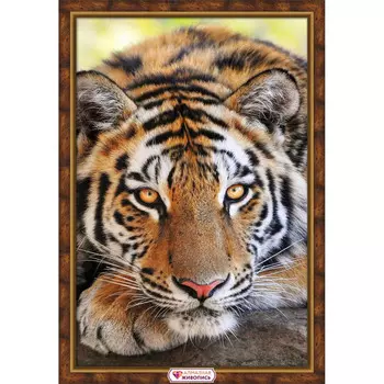 АЖ-4125 Картина стразами 'Полосатый красавец' 40*60см