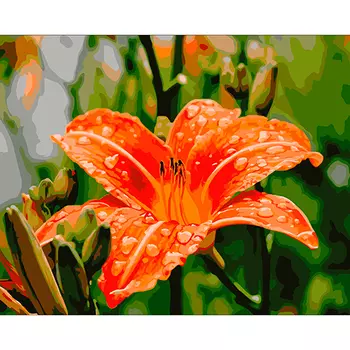 B016 Набор для рисования по номерам 'Лилия' 40*50см