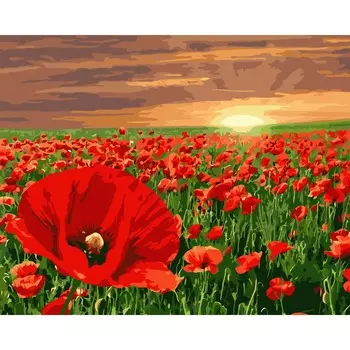 B017 Набор для рисования по номерам 'Маки' 40*50см