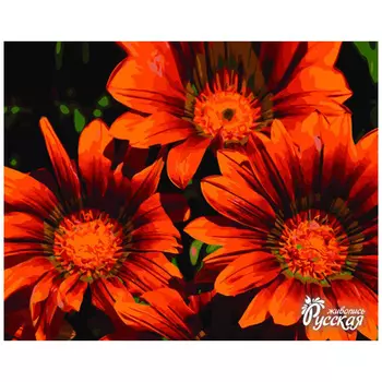 B032 Наборы для рисования по номерам ' Яркие цветы' 40*50см