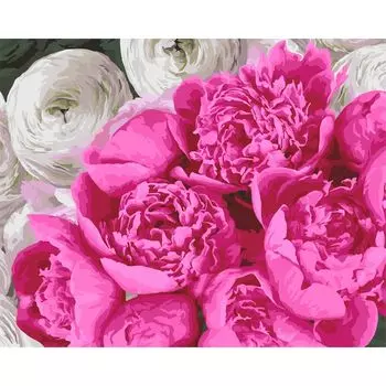 B112 Набор для рисования по номерам 'Пионы' 40*50см