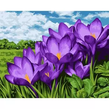 B113 Набор для рисования по номерам 'Фиолетовые подснежники' 40*50см