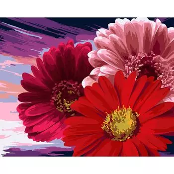 B115 Набор для рисования по номерам 'Герберы' 40*50см