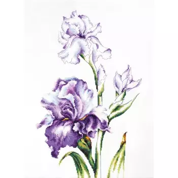 B2251 Набор для вышивания 'Ирисы' 24*38см, Luca-S