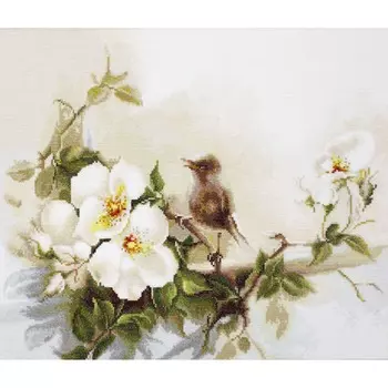 B2315 Набор для вышивания 'Птичка' 29*25,5см, Luca-S