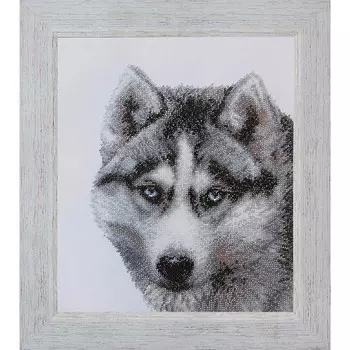 Б-062 Набор для вышивания бисером 'Чарівна Мить' 'Лайка', 23*28 см