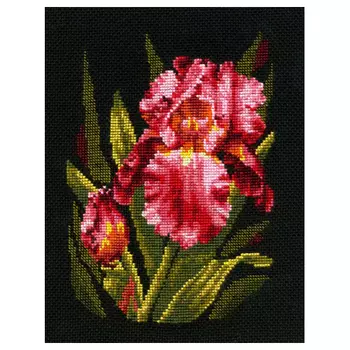 Б-15 Набор для вышивания 'Бархатный ирис' 17*23см