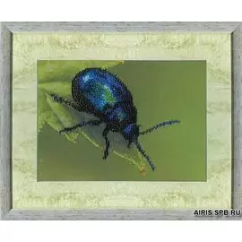 Б-528 Набор для вышивания бисером 'Чарівна Мить' 'Жук', 19,5*14,5 см