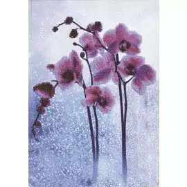 Б-673 Набор для вышивания бисером Чарівна Мить 'Дикая орхидея' 21*30см