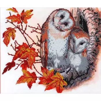 БН-3075 Набор для вышивания бисером Hobby&amp;Pro 'Совушки', 30*25 см