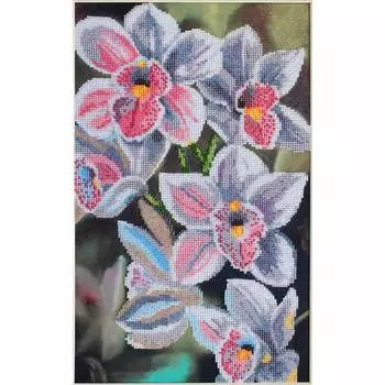 БН-3121 Набор для вышивания бисером Hobby&amp;Pro 'Любимые орхидеи', 24*40 см