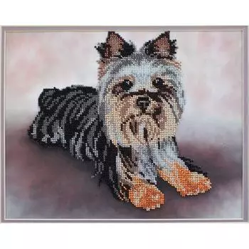 БН-3124 Набор для вышивания бисером Hobby&amp;Pro 'Йорк', 30*24 см