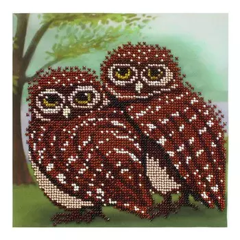 БН-3221 Набор для вышивания бисером Hobby&amp;Pro 'Пара совят'